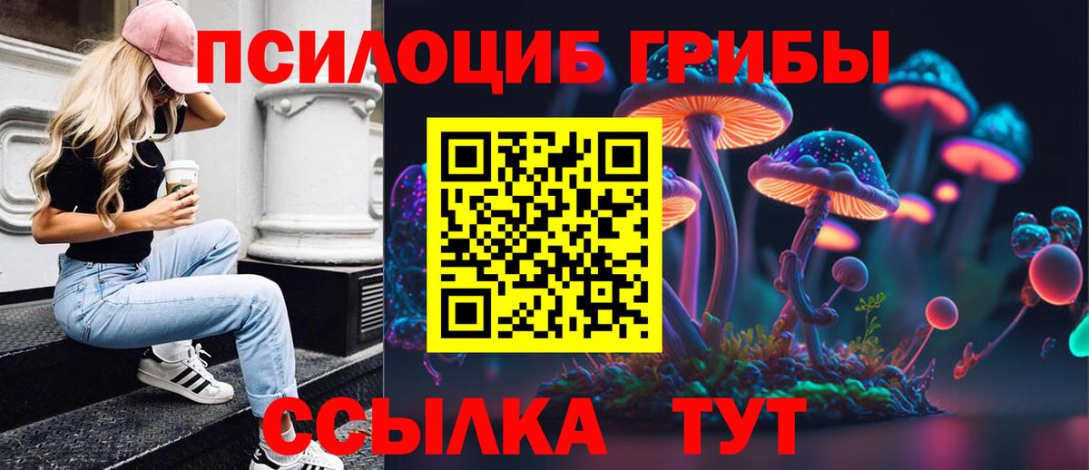 Кашира  Галлюциногенные грибы MAGIC MUSHROOMS  Галлюциногенные грибы MAGIC MUSHROOMS  Вход с VPN 