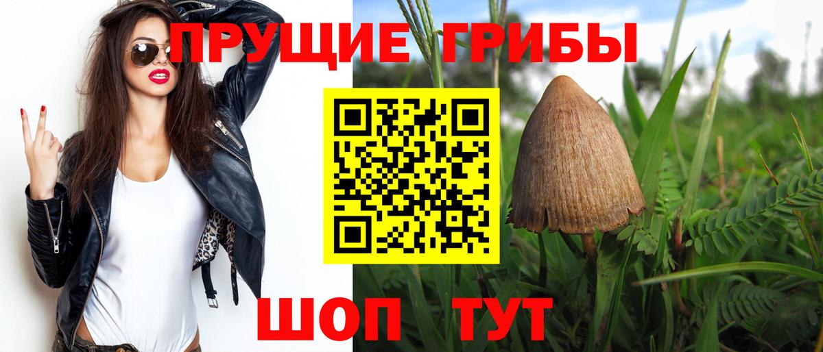 Галлюциногенные грибы Magic Shrooms Кашира